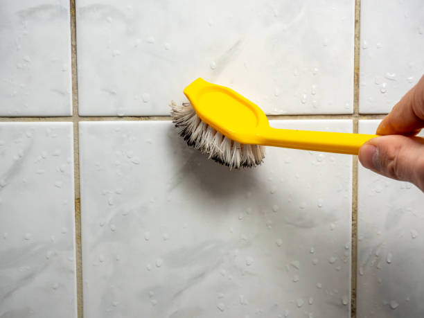 Reliable Coweta, OK Mold Removal Solutions