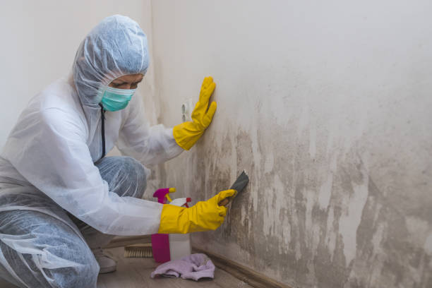 Best Residential Mold Removal  in Coweta, OK