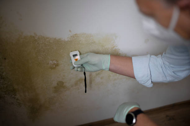 Best Commercial Mold Removal  in Coweta, OK