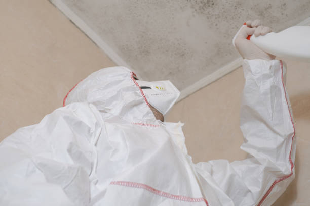 Best Local Mold Removal Service  in Coweta, OK