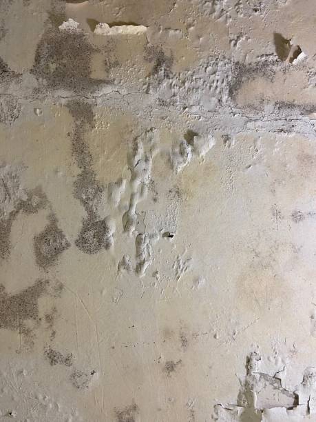 Home Mold Removal in Coweta, OK